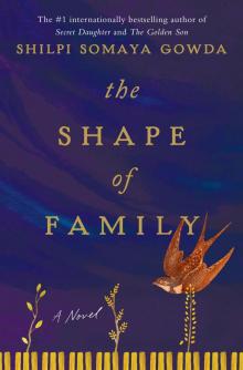 The Shape of Family The Shape of Family