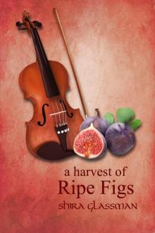 A Harvest of Ripe Figs A Harvest of Ripe Figs