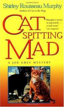 Cat Spitting Mad: A Joe Grey Mystery