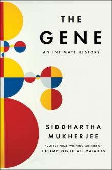 The Gene The Gene