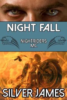 Night Fall (Nightriders MC Book 4)