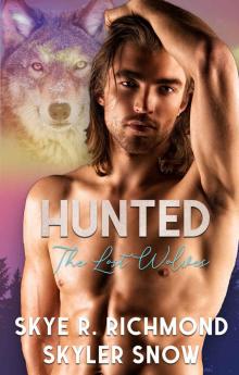 Hunted: An MM Shifter Romance (The Lost Wolves Book 2)