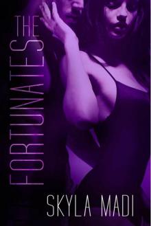 The Fortunates (Unfortunates #2) The Fortunates (Unfortunates #2)