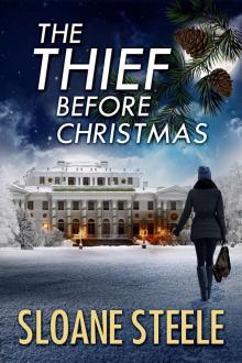The Thief Before Christmas