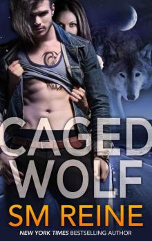 Caged Wolf (Tarot Witches Book 1) Caged Wolf (Tarot Witches Book 1)