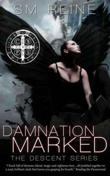 Descent 04 - Damnation Marked Descent 04 - Damnation Marked