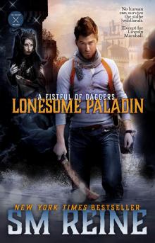 Lonesome Paladin Lonesome Paladin