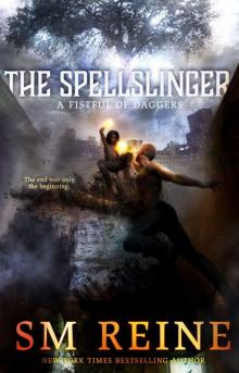 The Spellslinger The Spellslinger