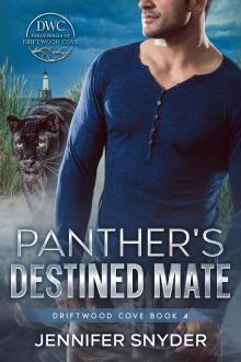 Panther's Destined Mate (Driftwood Cove Book 4)