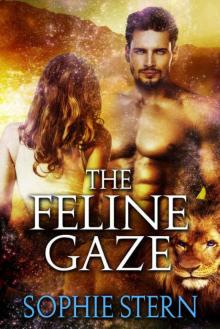 The Feline Gaze