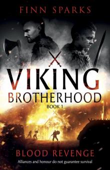 Blood Revenge: Viking Brotherhood