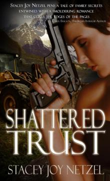 ShatteredTrust_w5401