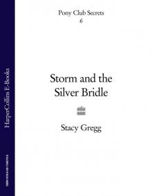 Storm and the Silver Bridle Storm and the Silver Bridle
