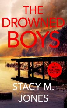 The Drowned Boys (Riley Sullivan Mystery Book 8)