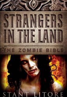Strangers in the Land