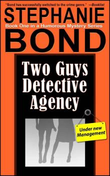 Two Guys Detective Agency (humorous mystery series--book 1)