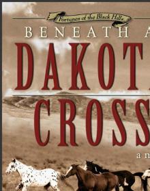 Beneath a Dakota Cross