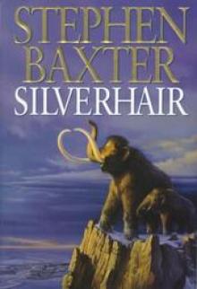 Silverhair tm-1