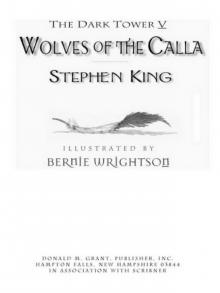 Dark Tower V, The Dark Tower V, The