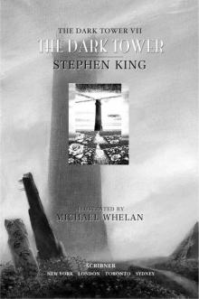 Dark Tower VII, The (v. 7)