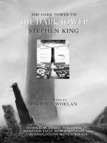 The Dark Tower VII