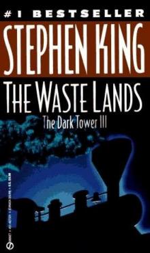 The Waste Lands dt-3