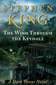 The wind through the keyhole adt-8
