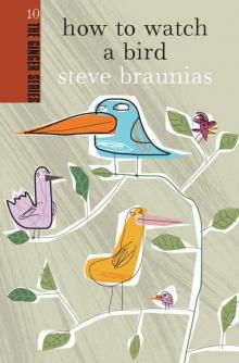 How to Watch a Bird How to Watch a Bird