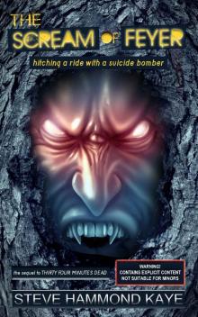 The Scream of Feyer: hitching a ride with a suicide bomber