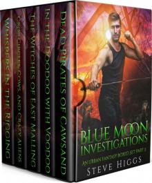 Blue Moon Investigations series Boxed Set 2
