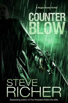 Counterblow (A Rogan Bricks Thriller Book 2)