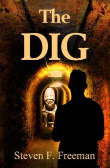 The Dig (The Blackwell Files Book 9)