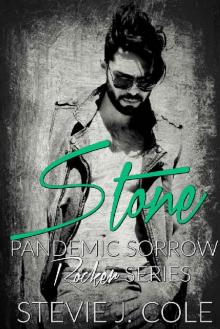 Stone: A Standalone Rock Star Romantic Comedy (Pandemic Sorrow)