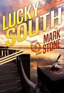 Lucky South: Lucky John Adventures Book 16