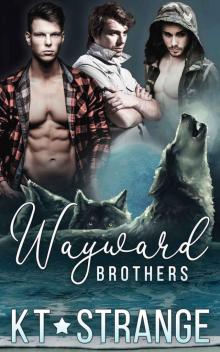 Wayward Brothers: Book 2: Raven Brothers of Fallen Mountain
