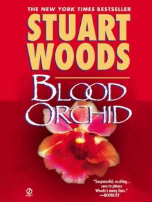 Blood Orchid Blood Orchid