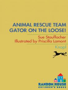 Gator on the Loose!