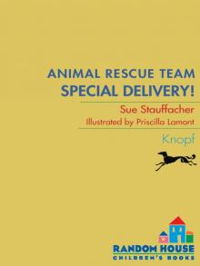 Special Delivery! Special Delivery!