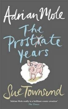 Adrian Mole: The Prostate Years (2009)