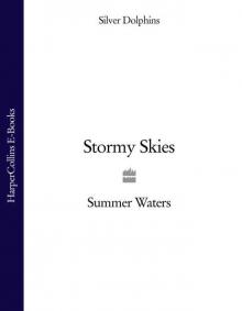 Stormy Skies