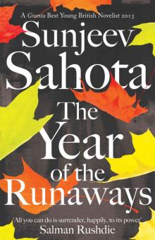 The Year of the Runaways The Year of the Runaways