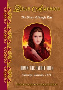 Down the Rabbit Hole