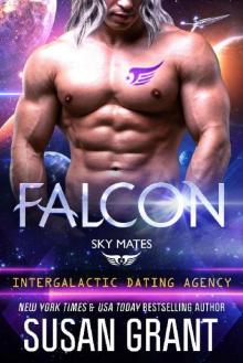 Falcon: Sky Mates (Intergalactic Dating Agency): a Sci-Fi Romance