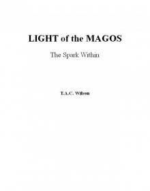 LIGHT of the MAGOS