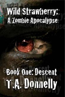 Wild Strawberry (Book 1): Descent