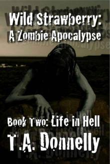 Wild Strawberry (Book 2): Life In Hell