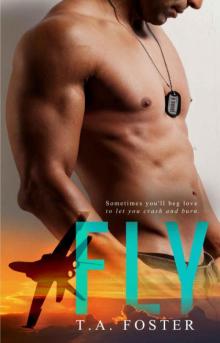 Fly Fly