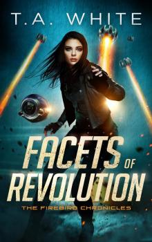 Facets of Revolution Facets of Revolution