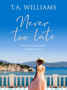 Never Too Late Never Too Late