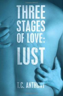 Three Stages of Love: Lust